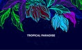 Tropical plantation. Vector background. Night jungle