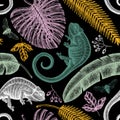 Tropical plants and animals seamless pattern. Vector background with hand drawn chameleon, monstera, banana palm, date palm leaves Royalty Free Stock Photo