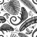 Tropical plants and animals seamless pattern. Vector background with hand drawn chameleon, monstera, banana palm, date palm leaves Royalty Free Stock Photo