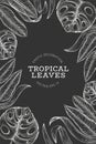 Tropical plants banner design. Hand drawn tropical summer exotic leaves illustration on chalk board. Jungle leaves, palm leaves Royalty Free Stock Photo