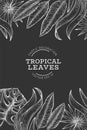 Tropical plants banner design. Hand drawn tropical summer exotic leaves illustration on chalk board. Jungle leaves, palm leaves Royalty Free Stock Photo