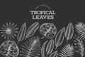 Tropical plants banner design. Hand drawn tropical summer exotic leaves illustration on chalk board. Jungle leaves, palm leaves Royalty Free Stock Photo