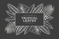 Tropical plants banner design. Hand drawn tropical summer exotic leaves illustration on chalk board. Jungle leaves, palm leaves Royalty Free Stock Photo