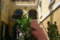 Tropical plants and building