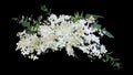 Tropical plants bush wedding decoration, bunch of white Dendrobium orchid flower with tropic green leaves philodendron and foliage