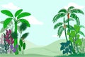 Tropical plants