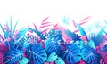 Tropical Plants  Colorful  Seamless Border Royalty Free Stock Photo