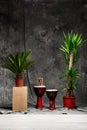 Tropical plants and drums over grey background.