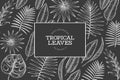 Tropical plants frame design. Hand drawn tropical summer exotic leaves illustration on chalk board. Jungle leaves, palm leaves Royalty Free Stock Photo