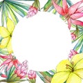 Tropical plants frame in a watercolor style.