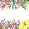 Tropical plants frame in a watercolor style.