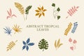 Tropical plants, leaves. Summertime nature objects. Jungle, modern trendy style. Set elements for design of card, poster and Royalty Free Stock Photo