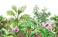 Tropical Plants Line Seamless Pattern