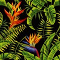 Tropical plants painting seamless background