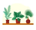 Tropical plants and palms set in flat style, home plants in pots on shelf, vector Royalty Free Stock Photo