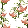 Tropical plants, paradise flowers and palm leaves seamless pattern on a black background Royalty Free Stock Photo