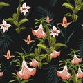 Tropical plants, paradise flowers and palm leaves seamless pattern on a black background Royalty Free Stock Photo