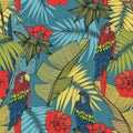 Tropical plants and parrots. Vector seamless pattern for design Royalty Free Stock Photo