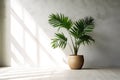 Tropical plants in a pot against an apartment wall with text and design space Royalty Free Stock Photo