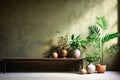 Tropical plants in a pot against an apartment wall with text and design space Royalty Free Stock Photo