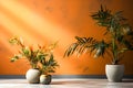 Tropical plants in a pot against an apartment wall with text and design space Royalty Free Stock Photo