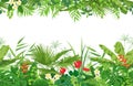 Tropical Plants Seamless Border Royalty Free Stock Photo