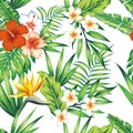 Tropical plants seamless pattern white background Royalty Free Stock Photo