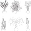 Tropical plants, Set of flat potted houseplants