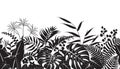 Tropical Plants Silhouette Pattern Royalty Free Stock Photo