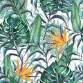 Seamless pattern with tropical plants