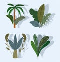 tropical plants tree plams foliage nature cartoon set Royalty Free Stock Photo