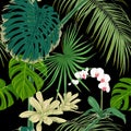 Tropical plants and flowers. Seamless pattern, background. Vector illustration. Isolated on black background.