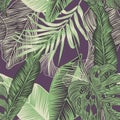 Tropical plants