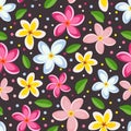 Tropical plumeria flower vector seamless pattern. Summer frangipani striped repeat pattern wallpaper, background. Royalty Free Stock Photo