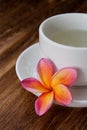 Tropical Plumeria with Green Chinese Tea Royalty Free Stock Photo