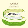 Tropical pods with seeds Guaba Ice Cream Beans