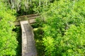 Tropical pond bridge
