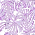 Tropical Print. Jungle Seamless Pattern. Vector Tropic Summer Motif with Hawaiian Flowers.