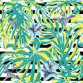 Tropical Print. Jungle Seamless Pattern. Vector Tropic Summer Motif with Hawaiian Flowers. Royalty Free Stock Photo