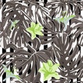 Tropical Print. Jungle Seamless Pattern. Vector Tropic Summer Motif with Hawaiian Flowers. Royalty Free Stock Photo
