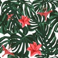 Tropical Print. Jungle Seamless Pattern. Vector Tropic Summer Motif with Hawaiian Flowers. Royalty Free Stock Photo