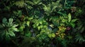 Tropical rain deep forest top view. Generative AI