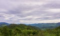 Tropical rain-forest in asia. Royalty Free Stock Photo