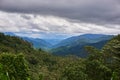 Tropical rain-forest in asia. Rain is coming Royalty Free Stock Photo