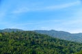 Tropical rain forest at khao luang with blue sky, Kiriwong village