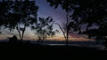 Tropical Rain forest at sunrise.