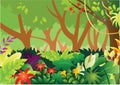 Tropical Rain Forest Vector Illustration