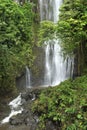 Tropical rain forest waterfall Royalty Free Stock Photo