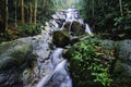 Tropical rain forest waterfall with surrounded by lush foliage and green mossy rock. Royalty Free Stock Photo