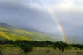 Tropical Rainbow